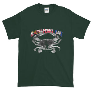 Chesapeake Bay - Short-Sleeve T-Shirt